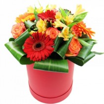 Arrangement of gerberas and roses 