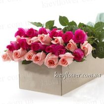 25 roses in a gift box (Rose Ecuador)